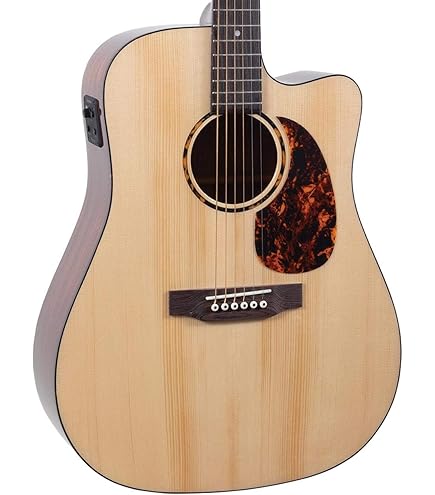 Amazon.com: Recording King RO-G6 Solid Top 000 Guitar : Musical